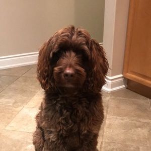 Meet your Posher, Andrea